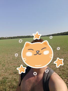 Sava