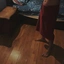 FWBVLN