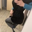 sauliuss12