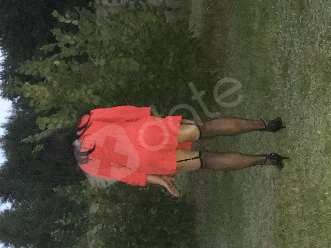 laputaite965057183