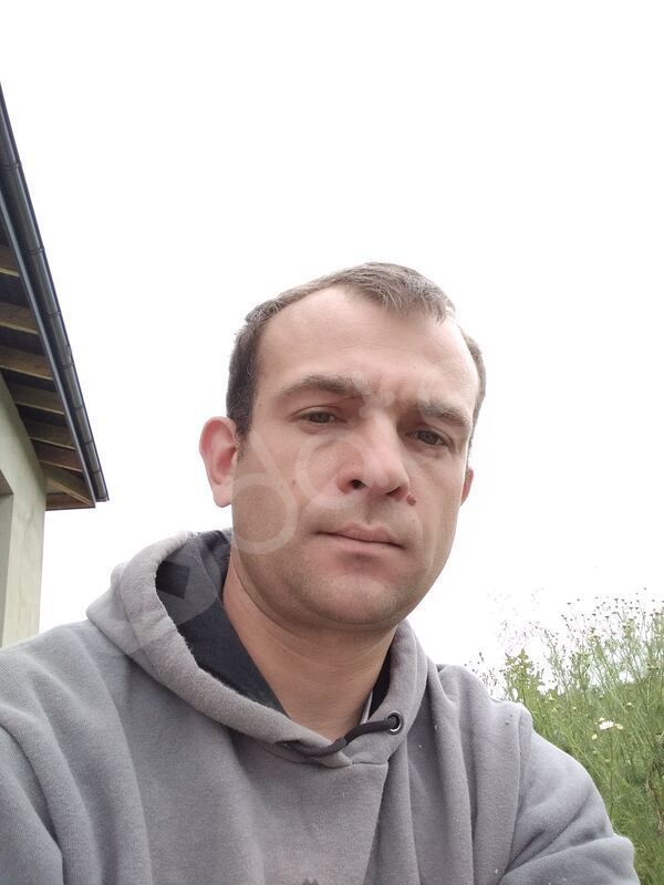 Dobrui20221766295