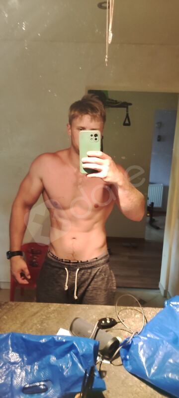 Hiena5048386