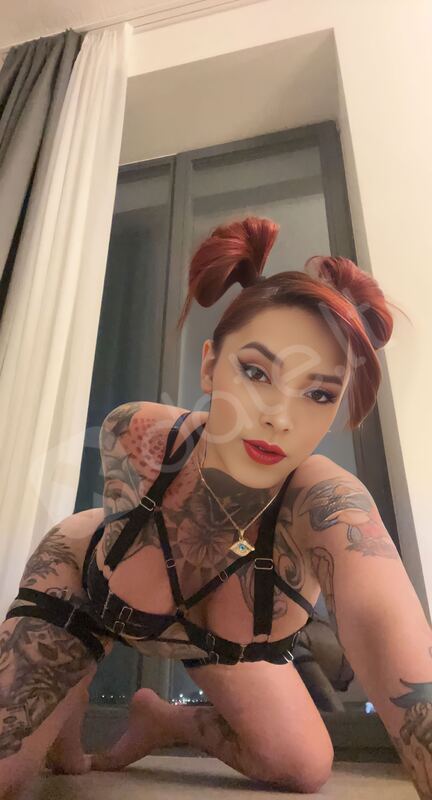 Lolabunny3077207