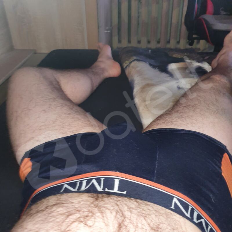 Artsd1576542