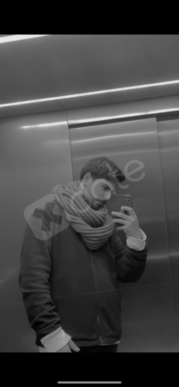 Arsenlupen135177218