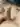 GGG