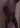 BiCDTVVln