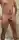 Toyboy1