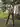 IMG_1409.jpeg