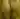 Bounty1