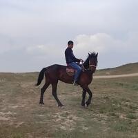 Zuba