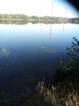Egidukas