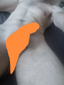 Ragrafas